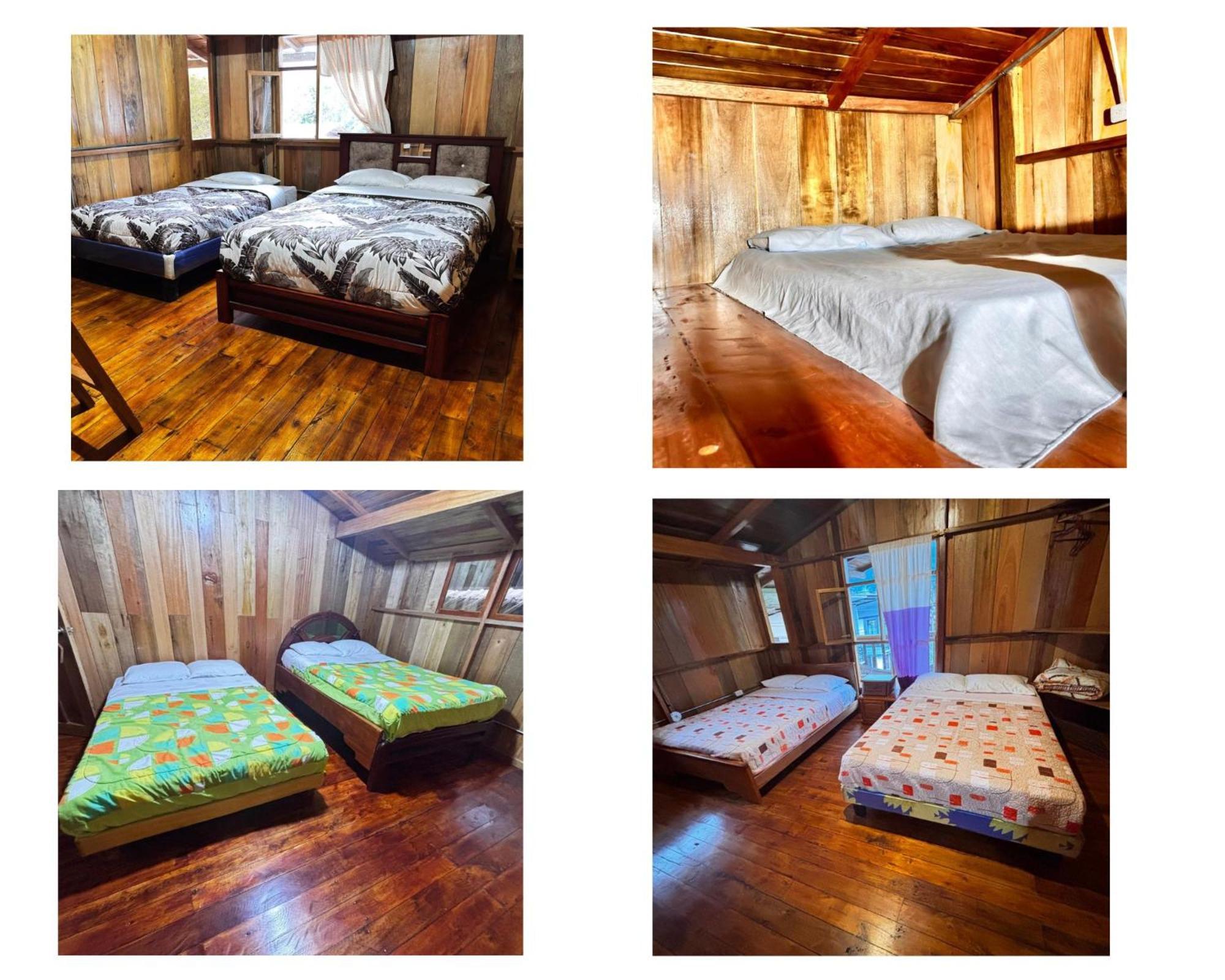 Hostal Vista Verde Mindo Exteriér fotografie